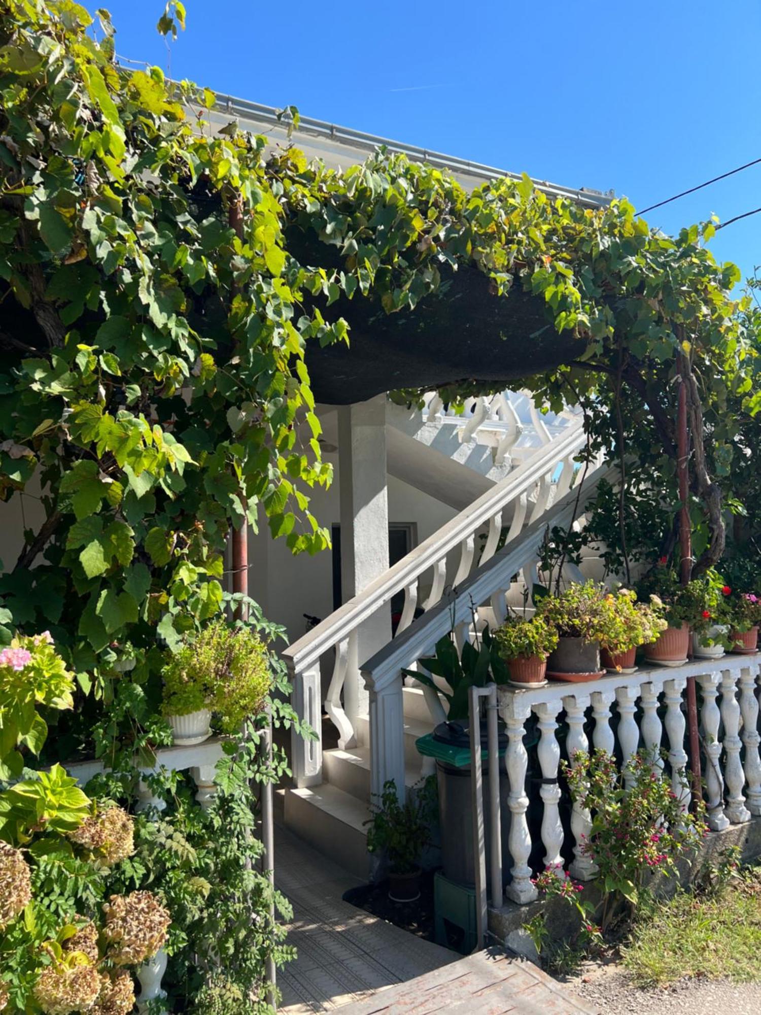 Kastrati Apartments Ulcinj Extérieur photo